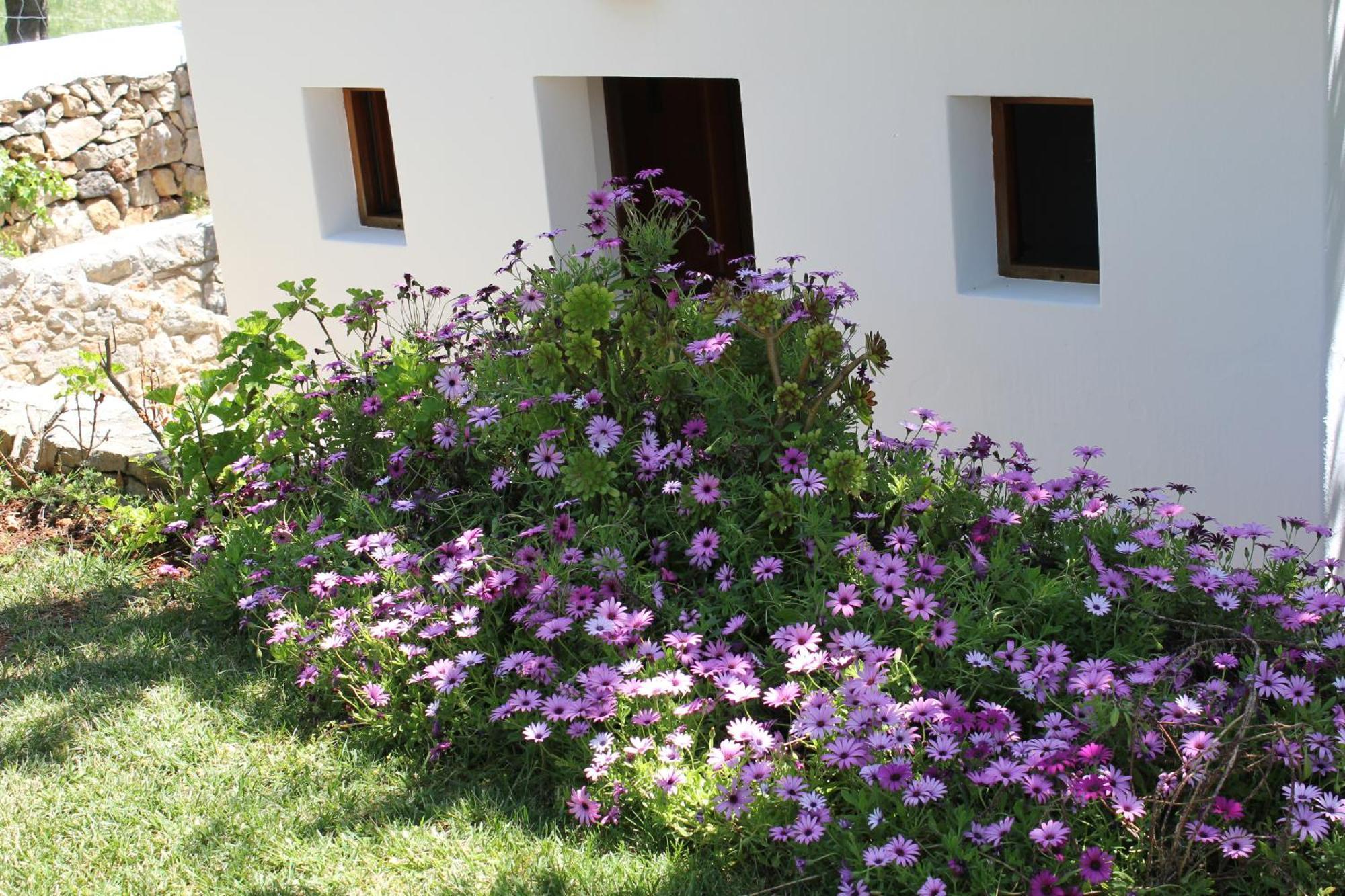Agroturismo Can Fuster Sant Joan De Labritja Exterior foto