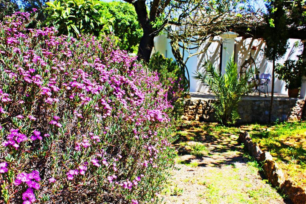 Agroturismo Can Fuster Sant Joan De Labritja Exterior foto